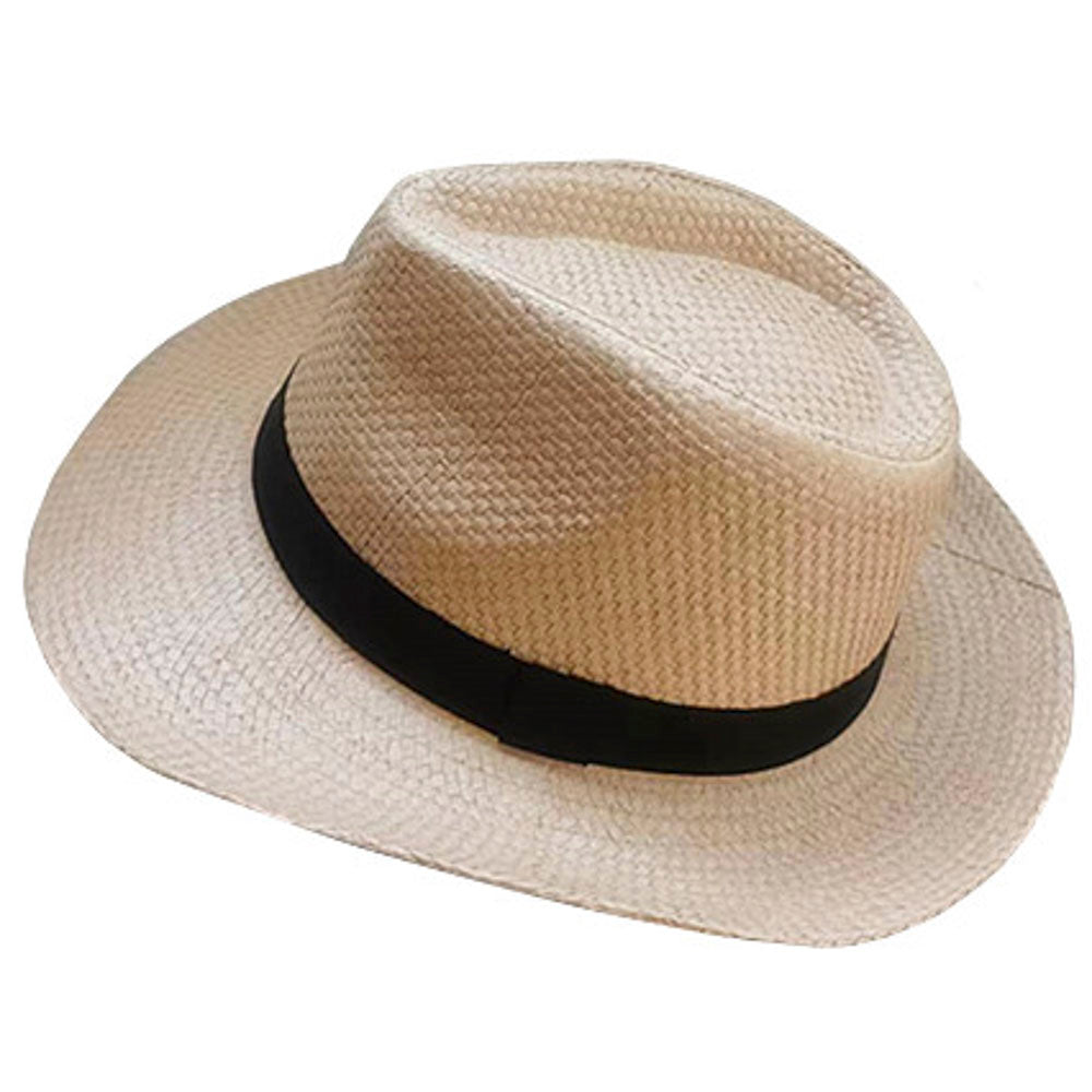 Simple Panama Hat