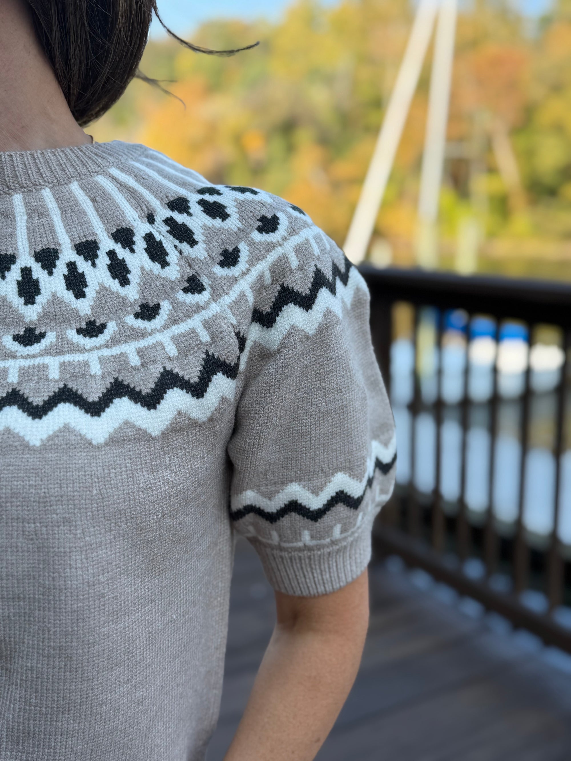 Fair Isle Fun Sweater