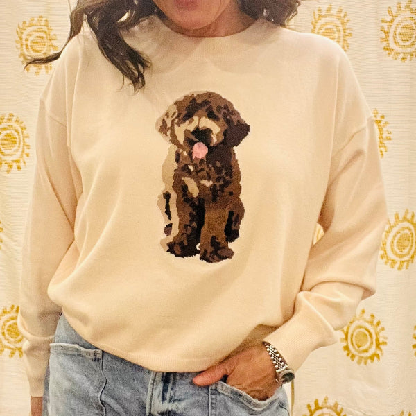 Puppy Sweater