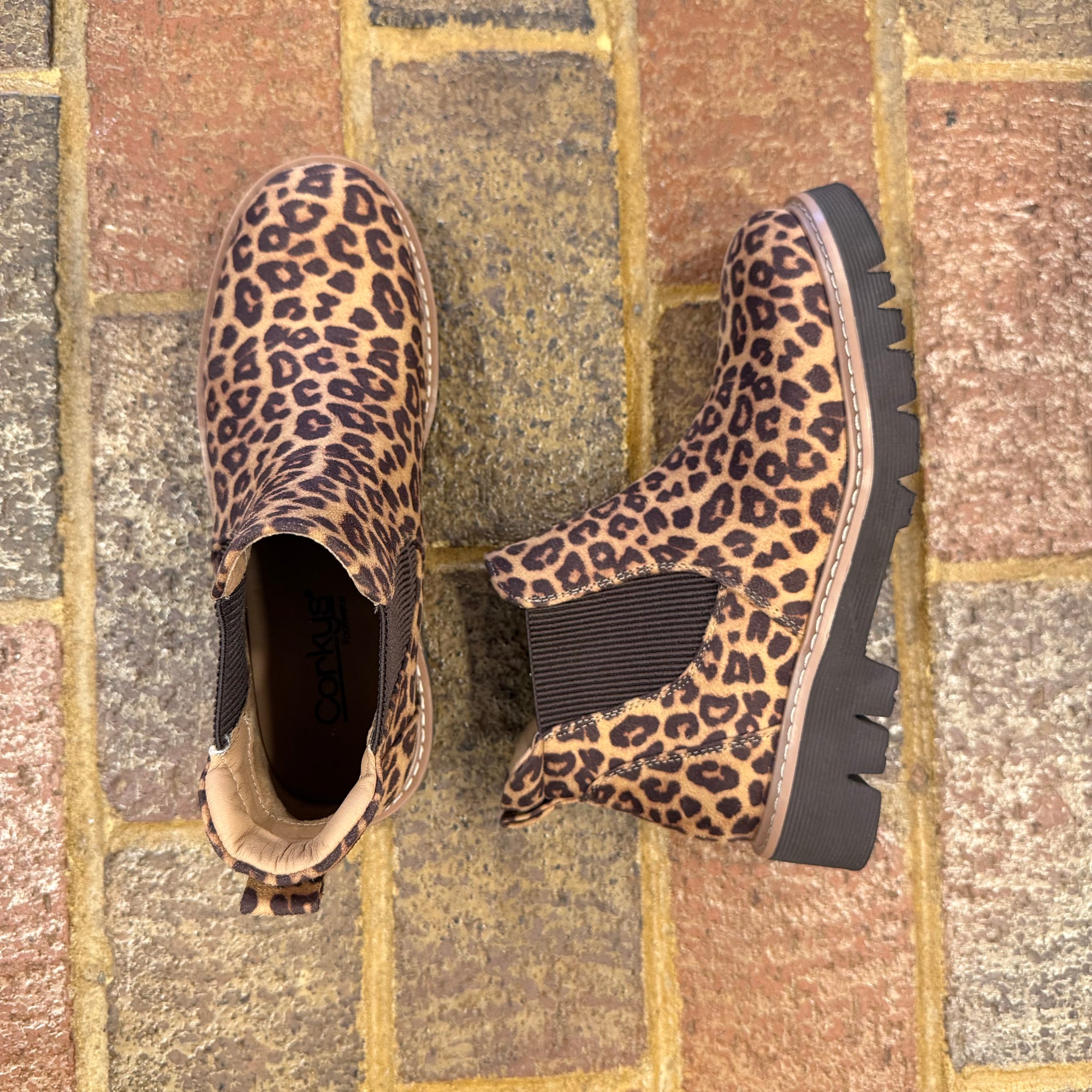 It's Chilly-LEOPARD