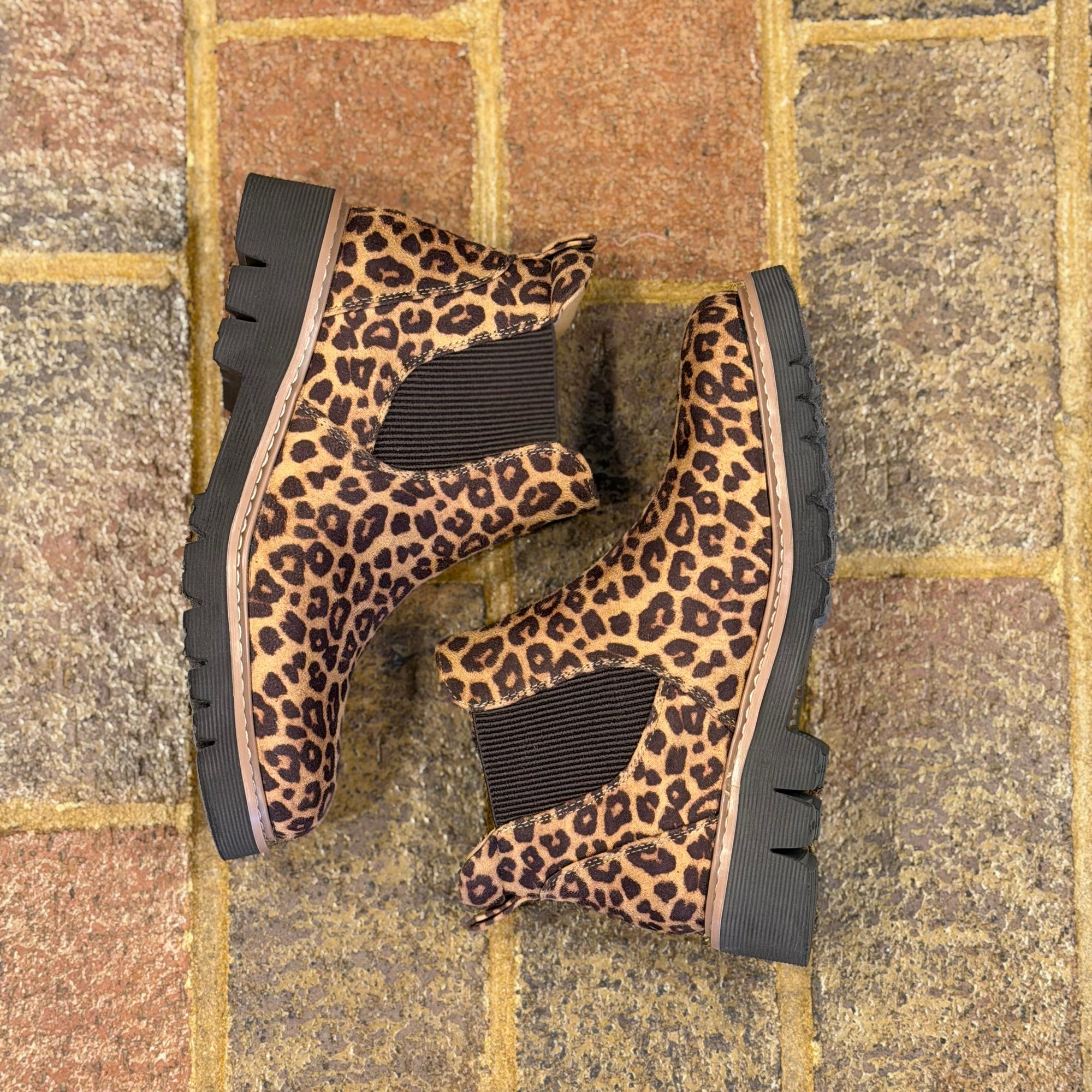 It's Chilly-LEOPARD