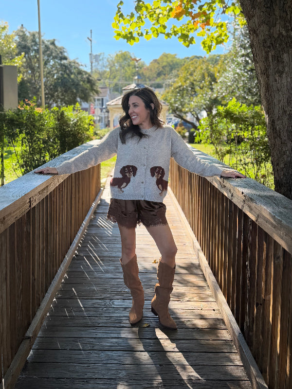 Dachshund Cardigan