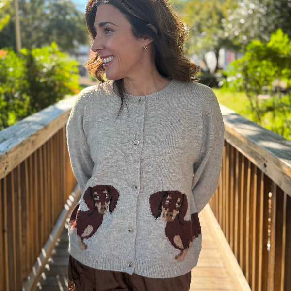 Daschund Cardigan