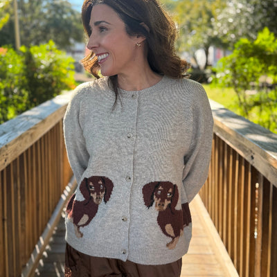 Daschund Cardigan