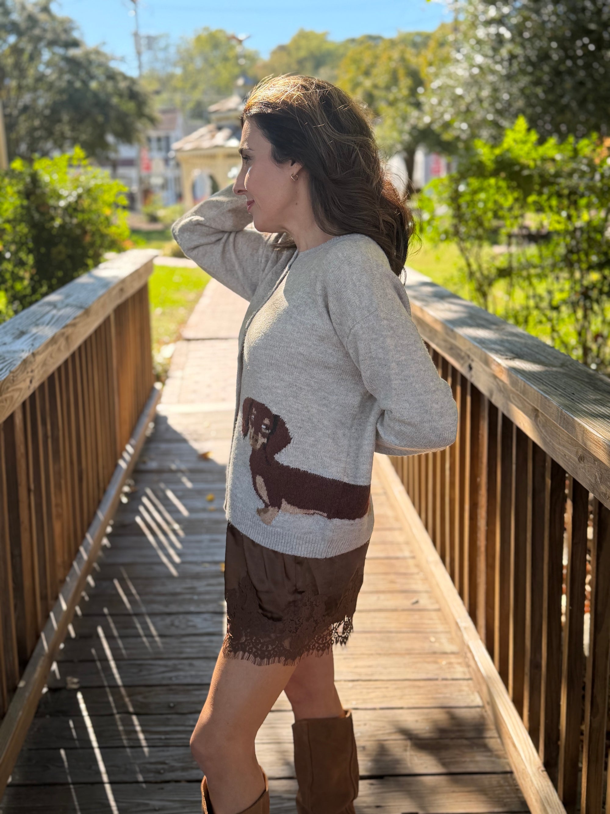Dachshund Cardigan