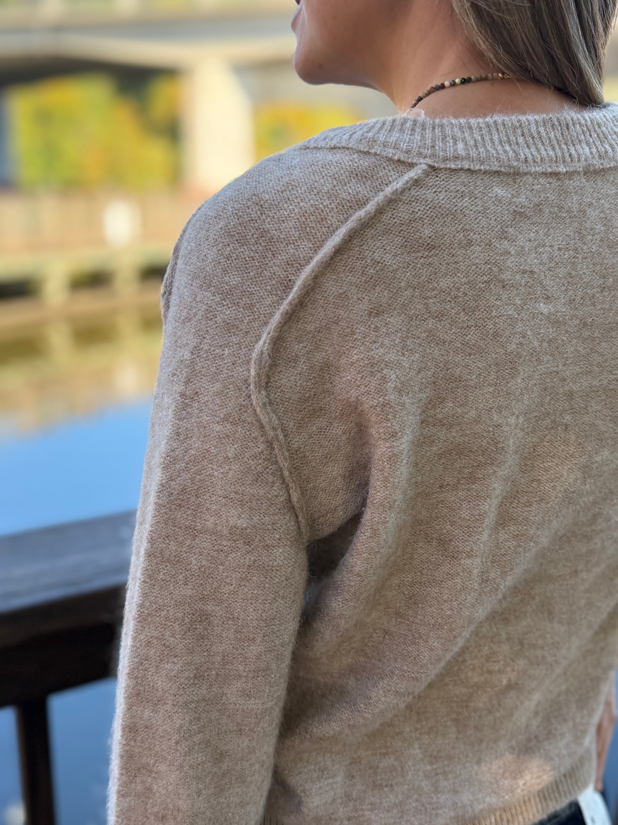 Button Front Crew Sweater