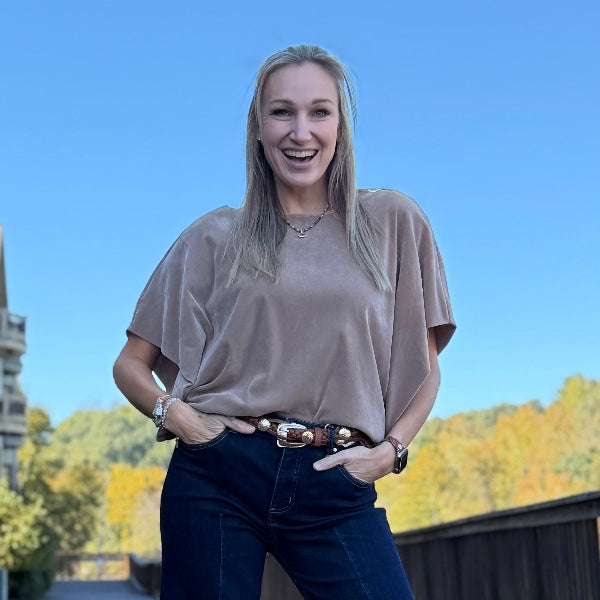 Taupe velvet top 