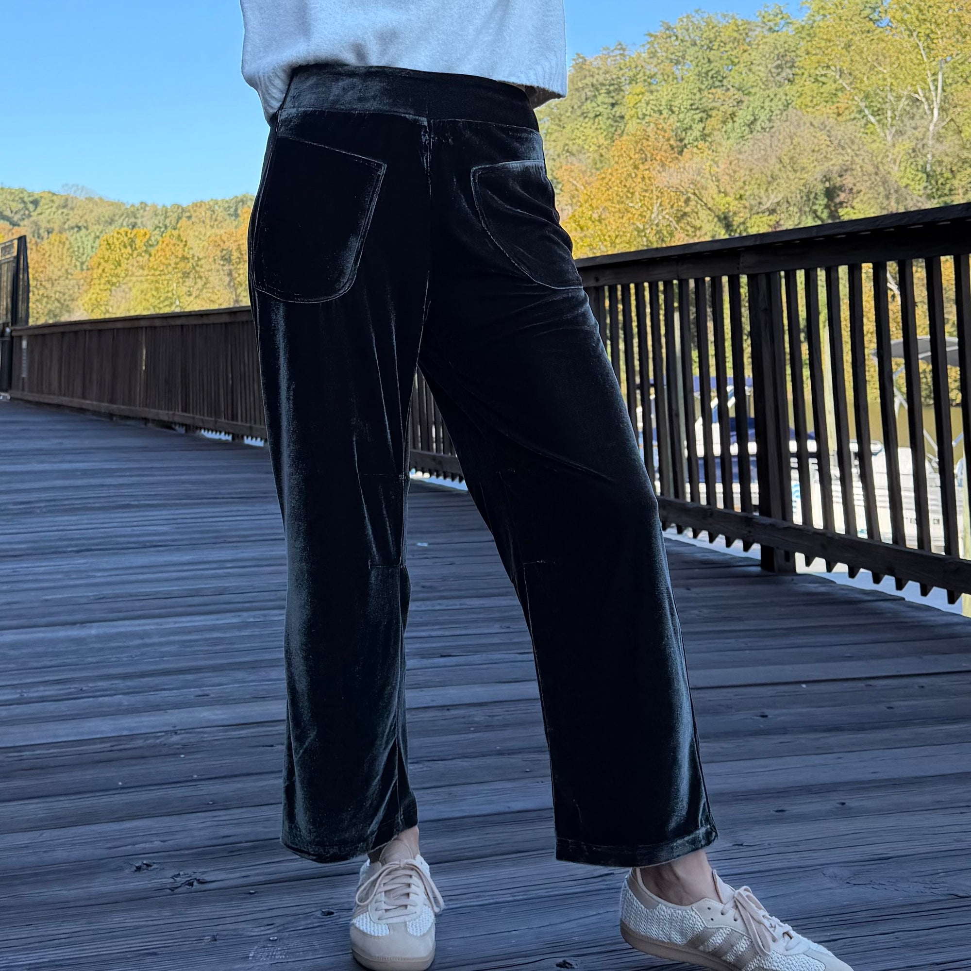 Shiny Velvet Pant